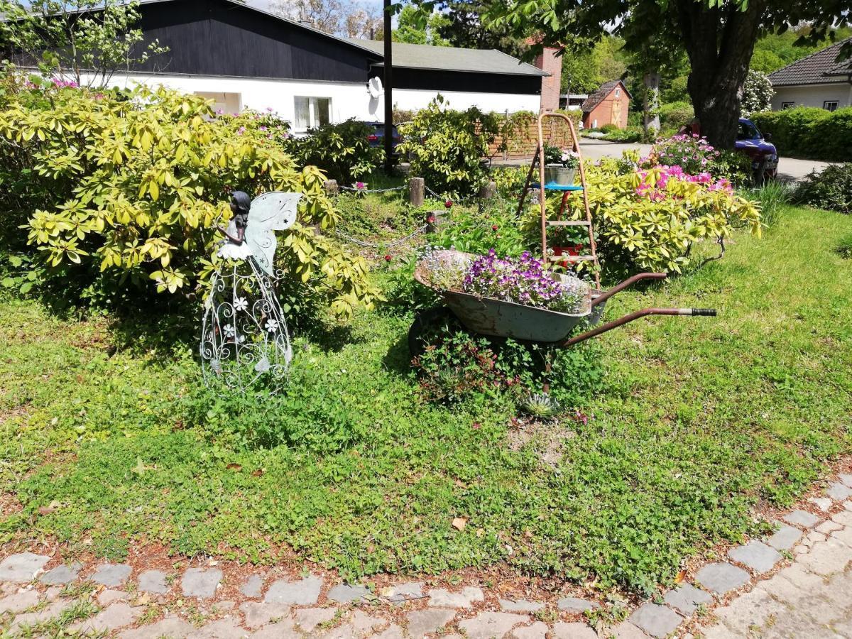 Hasenstall Rehburg-Loccum ภายนอก รูปภาพ